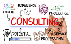 Startup Consulting